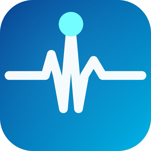 The DynDnsPulse app icon: a pulse line on a blue field.