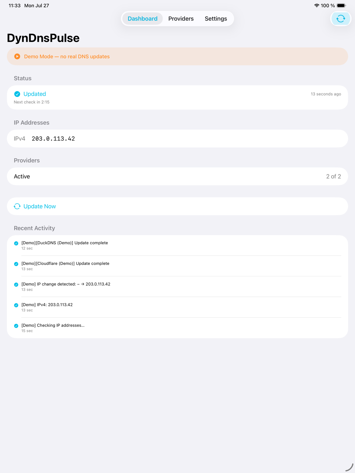 The DynDnsPulse dashboard on iPad.